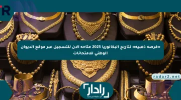 «فرصة ذهبية» نتائج البكالوريا 2025 متاحة الآن للتسجيل عبر موقع الديوان الوطني للامتحانات